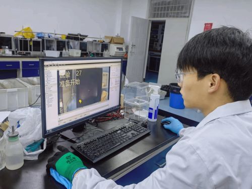 图说杏林 坚守科研一线，这个假期你们奋斗的样子真美